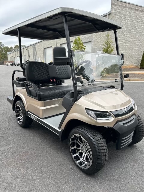 2024 Advanced EV Champagne/Black