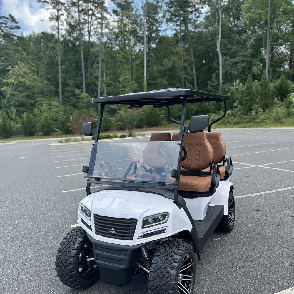 2024 Sierra LSV AX4 - White/Brown